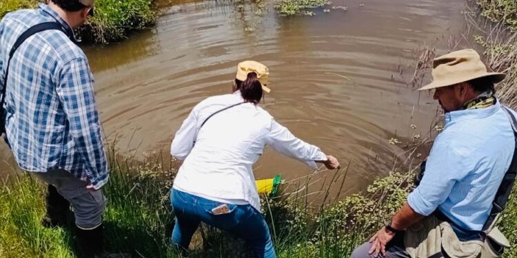 Preocupación por la aparición de aves muertas en la Reserva Provincial La Angostura