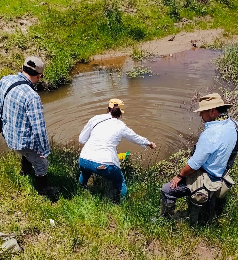 Preocupación por la aparición de aves muertas en la Reserva Provincial La Angostura
