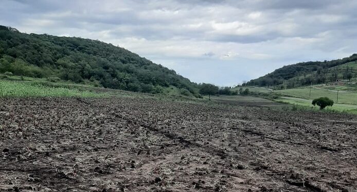 Raco: las últimas tormentas dejaron graves pérdidas en los cultivos