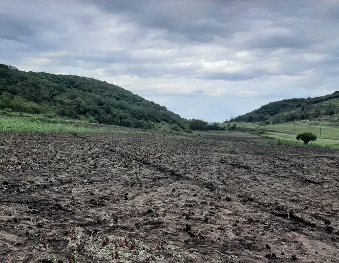Raco: las últimas tormentas dejaron graves pérdidas en los cultivos