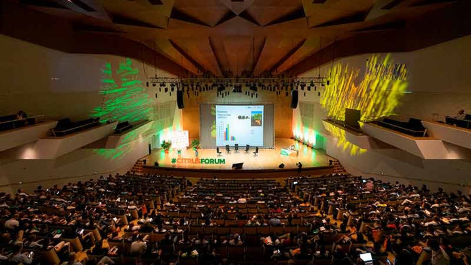 Se viene un inédito congreso mundial de cítricos online