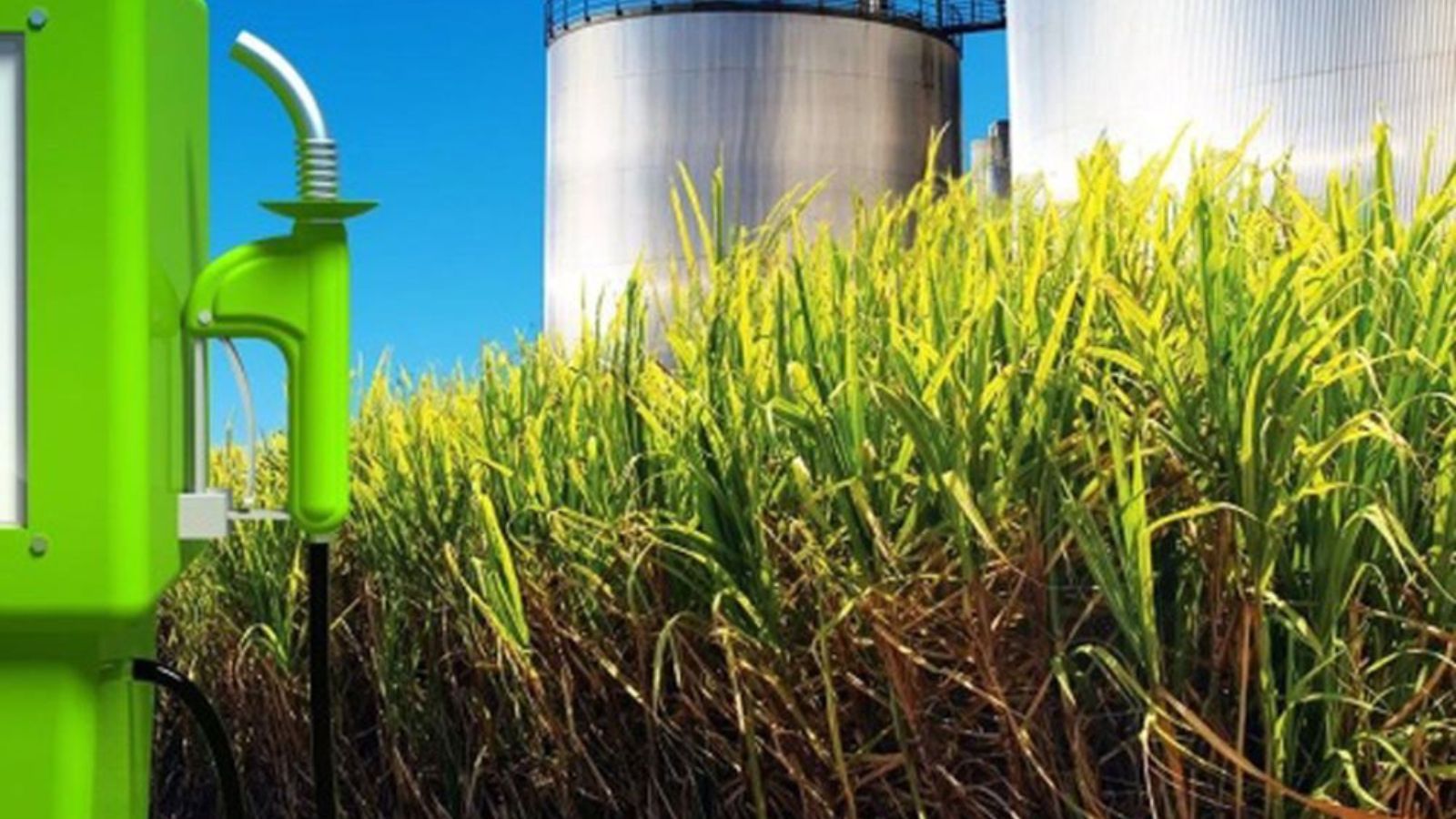 El gobierno sube el precio del bioetanol derivado de la caña de azúcar y maíz en un 5%