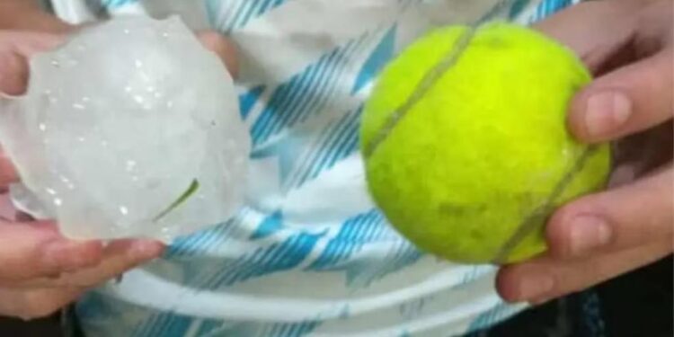 El temporal de lluvia y granizo en San Luis y Mendoza dejó grave consecuencias