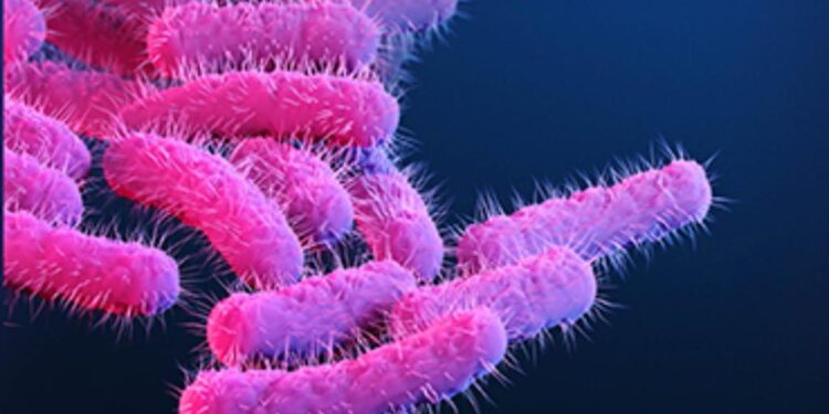 Contaminación cruzada en Berazategui, ¿qué es la shigella?