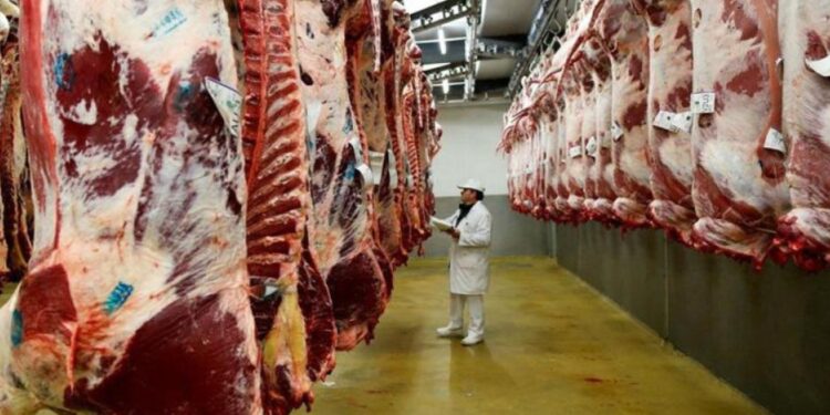 Continuamos exportando carne argentina a México
