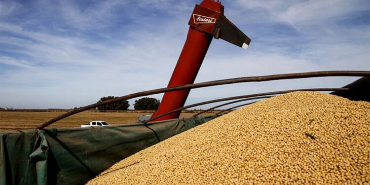 Caída del 13% de las exportaciones provenientes del agro