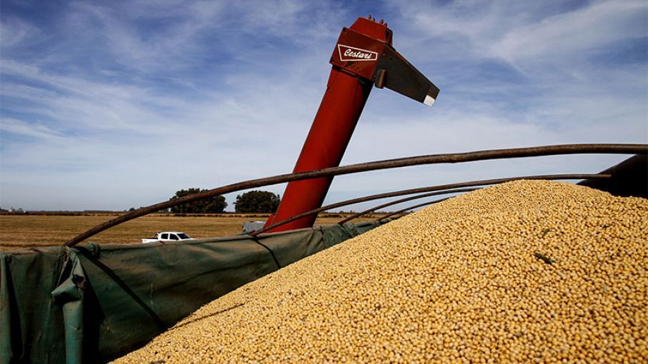 Caída del 13% de las exportaciones provenientes del agro
