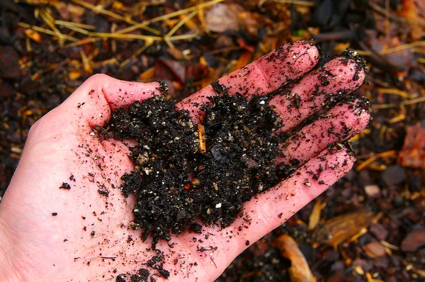 Exclusivo: Crean un polvo granulado capaz de retener el agua del suelo