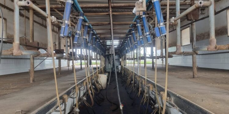 Ya son 400 los tambos que van cerrando y la Mesa de Enlace eleva un fuerte reclamo