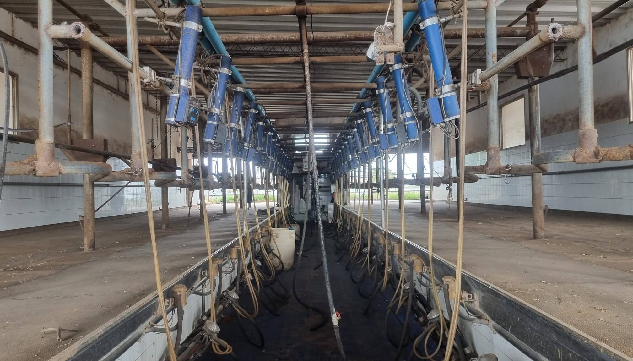Ya son 400 los tambos que van cerrando y la Mesa de Enlace eleva un fuerte reclamo