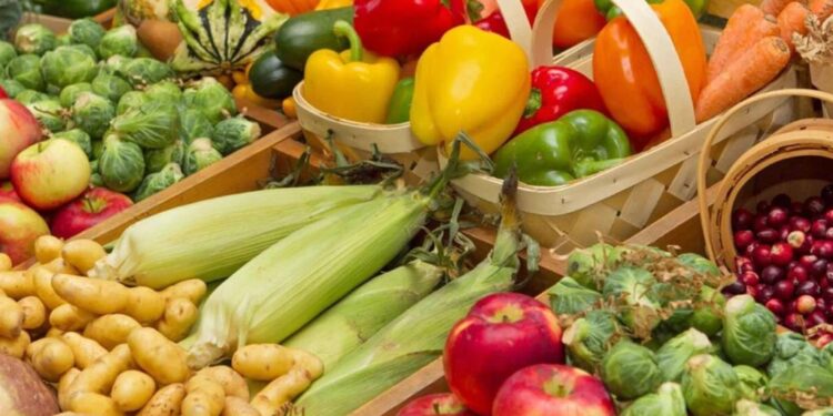 Se busca apoyar el desarrollo sostenible a través de la integración de las políticas alimentarias