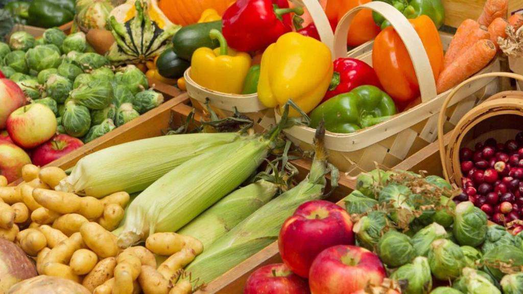 Se busca apoyar el desarrollo sostenible a través de la integración de las políticas alimentarias