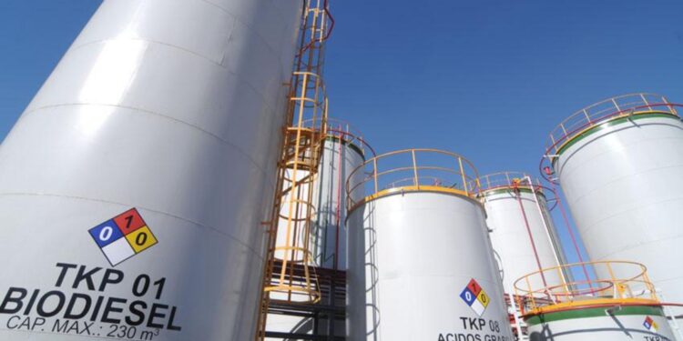 Biodiesel argentino: sustentabilidad en tensión