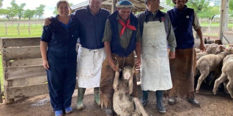 Alternativa para el control sustentable de la parasitosis gastrointestinal en ovinos