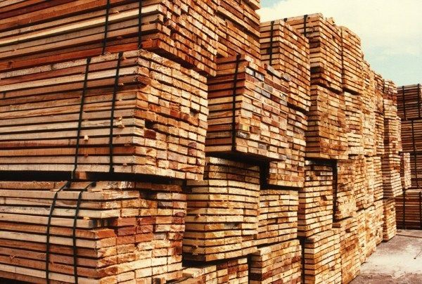 Advierten una grave crisis en el sector forestoindustrial que podría derivar en despidos
