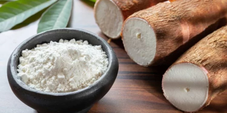 Alerta por faltantes y trabas para importar insumos para producir almidón de mandioca