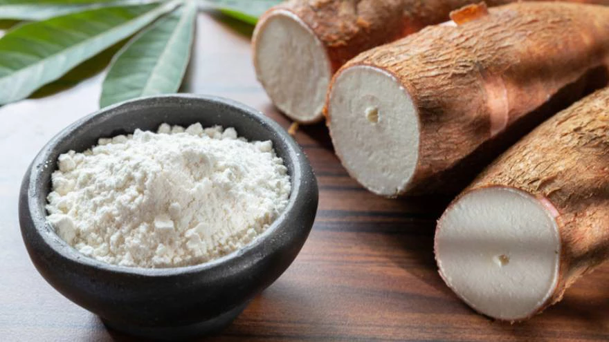 Alerta por faltantes y trabas para importar insumos para producir almidón de mandioca