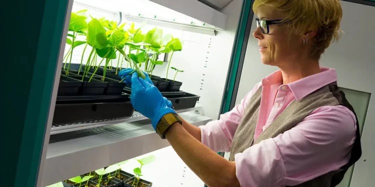 Las «agrovacunas» ya son tendencia mundial