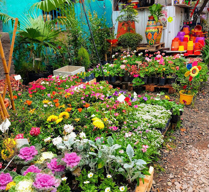 Sequía y calor: consejos para mantener vivo el jardín y la huerta