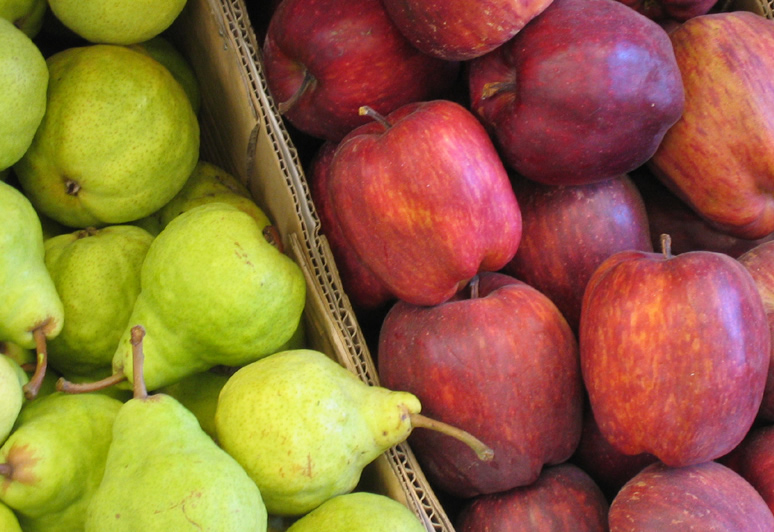 Aumenta la producción de manzanas y disminuye la de peras en el hemisferio sur
