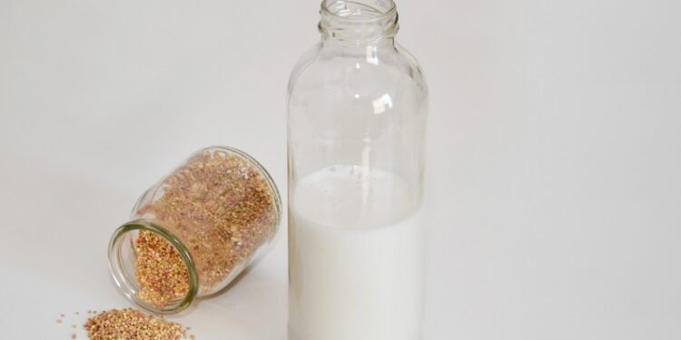 Crean una bebiba a base de quinoa con múltiples beneficios