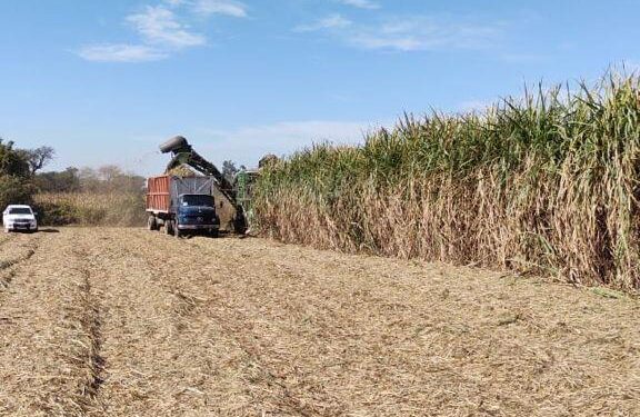Analizan la situación del sector azucarero y los cupos de bioetanol para Tucumán