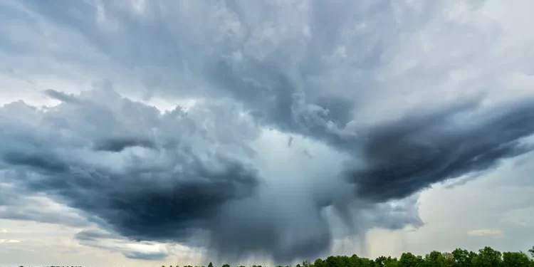 Clima: estamos entrando en una fase neutra