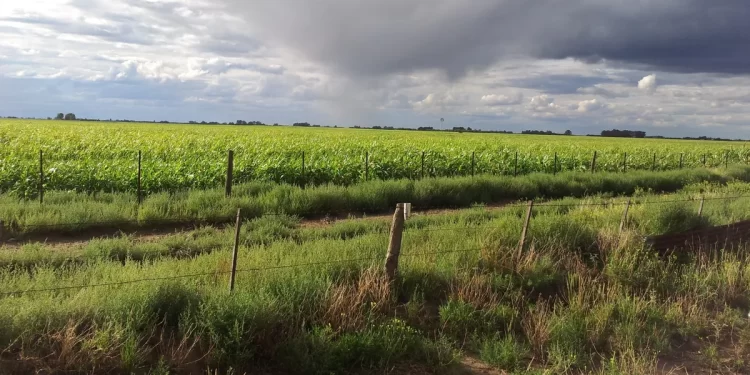 La Organización Meteorológica Mundial confirma la llegada de El Niño para junio
