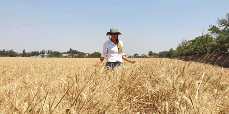 Apasionada por el campo hoy continúa con la empresa familiar de tabaco, granos y frutales