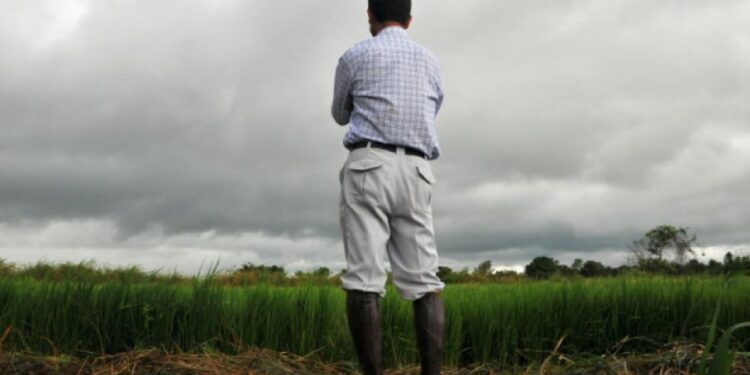 Productores afirman que financieramente están mucho peor que el año pasado