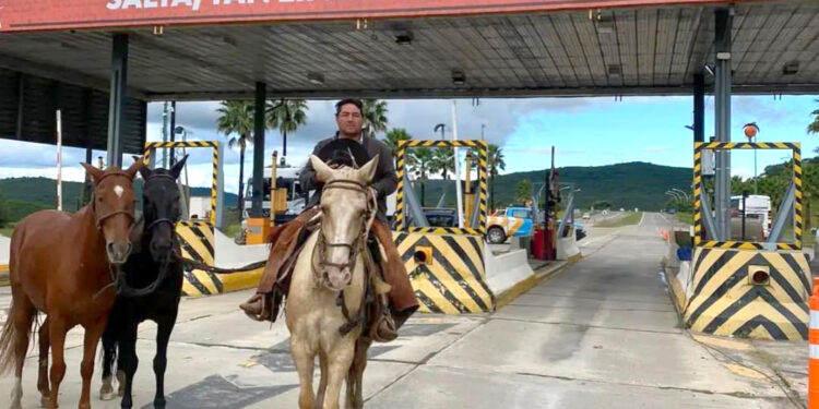 Los caballos peruanos de paso se lucen en la Rural salteña