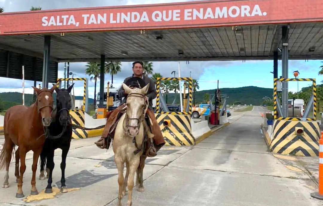 Los caballos peruanos de paso se lucen en la Rural salteña