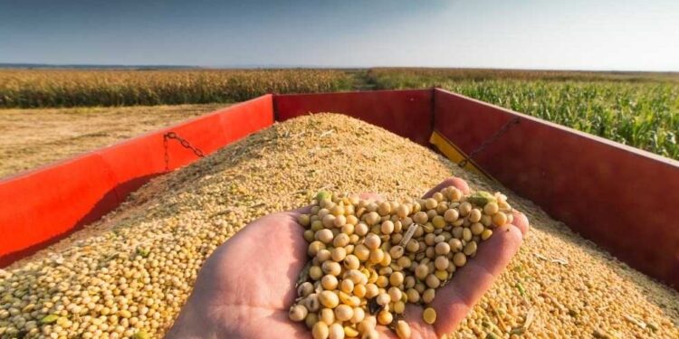 Argentina triplicó las importaciones de soja