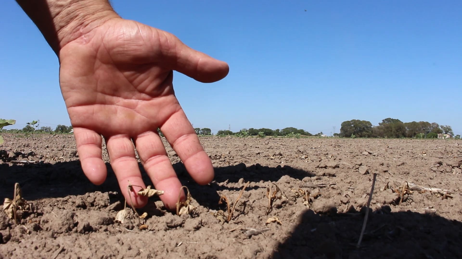 Emergencia agropecuaria: desde hoy estará disponible el pago de la ayuda del Estado