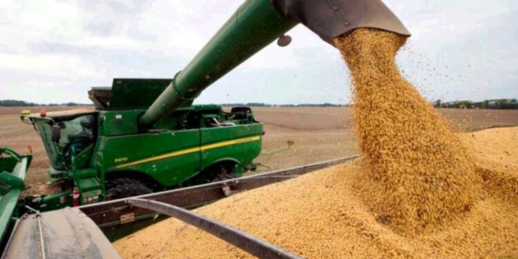 Comenzó la cosecha de soja de segunda y opera debajo de los $100.000
