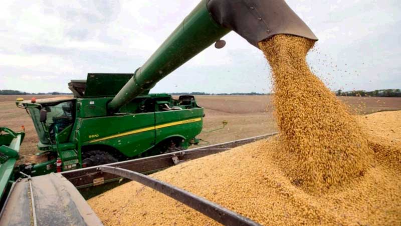 Comenzó la cosecha de soja de segunda y opera debajo de los $100.000
