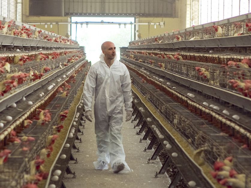 Uruguay aprobó los nuevos certificados de exportación