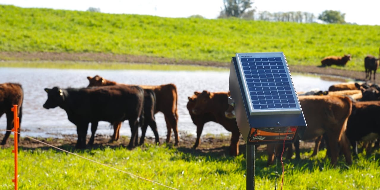Los boyeros solares PERMER y su impacto en la ganadería