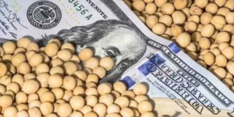 Sumaron productos de las economías regionales a las ventajas del dólar agro