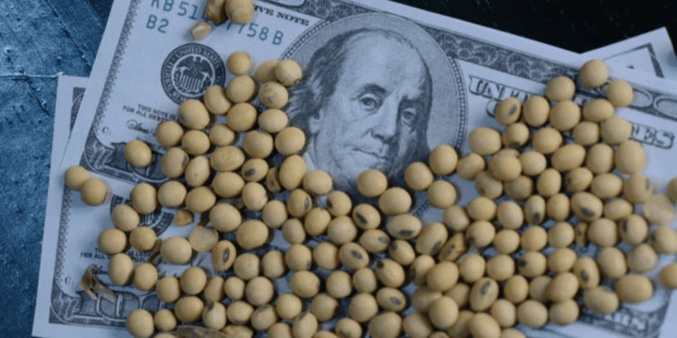 Se sumaron 21 productos de economías regionales al dólar agro