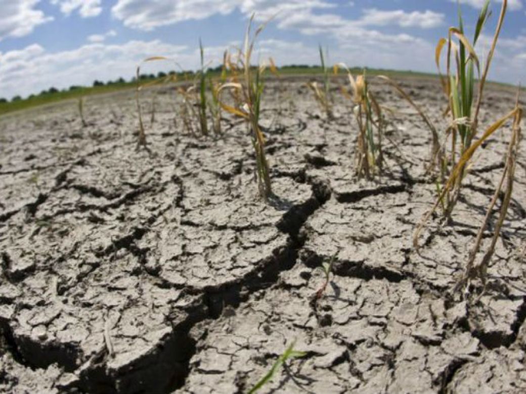 La sequía hizo estragos en los últimos cuatro meses y afectó al 95% de los productores