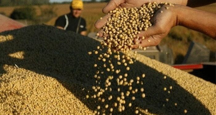 Se levantó el paro de los recibidores de granos tras acordar un 104% anual en las paritarias