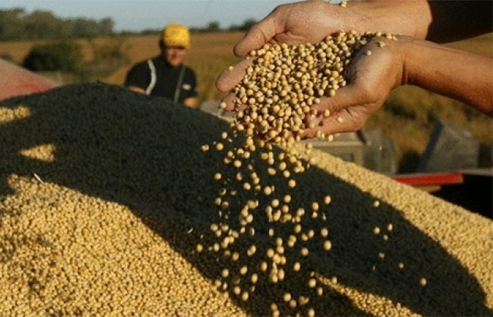 Se levantó el paro de los recibidores de granos tras acordar un 104% anual en las paritarias