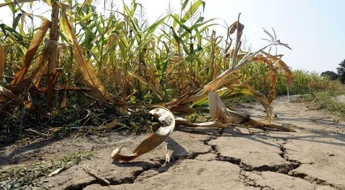 Por la sequía dan alivios fiscales para productores de Entre Ríos