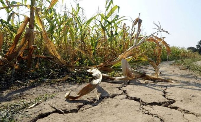 Por la sequía dan alivios fiscales para productores de Entre Ríos