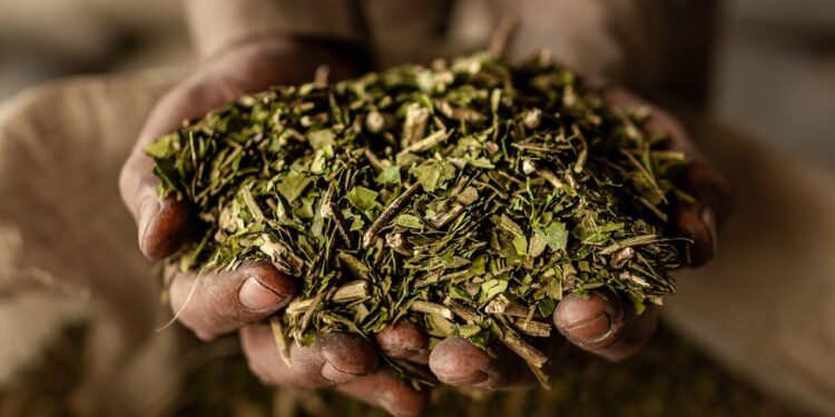 Productores afirman que financieramente están mucho peor que el año pasado