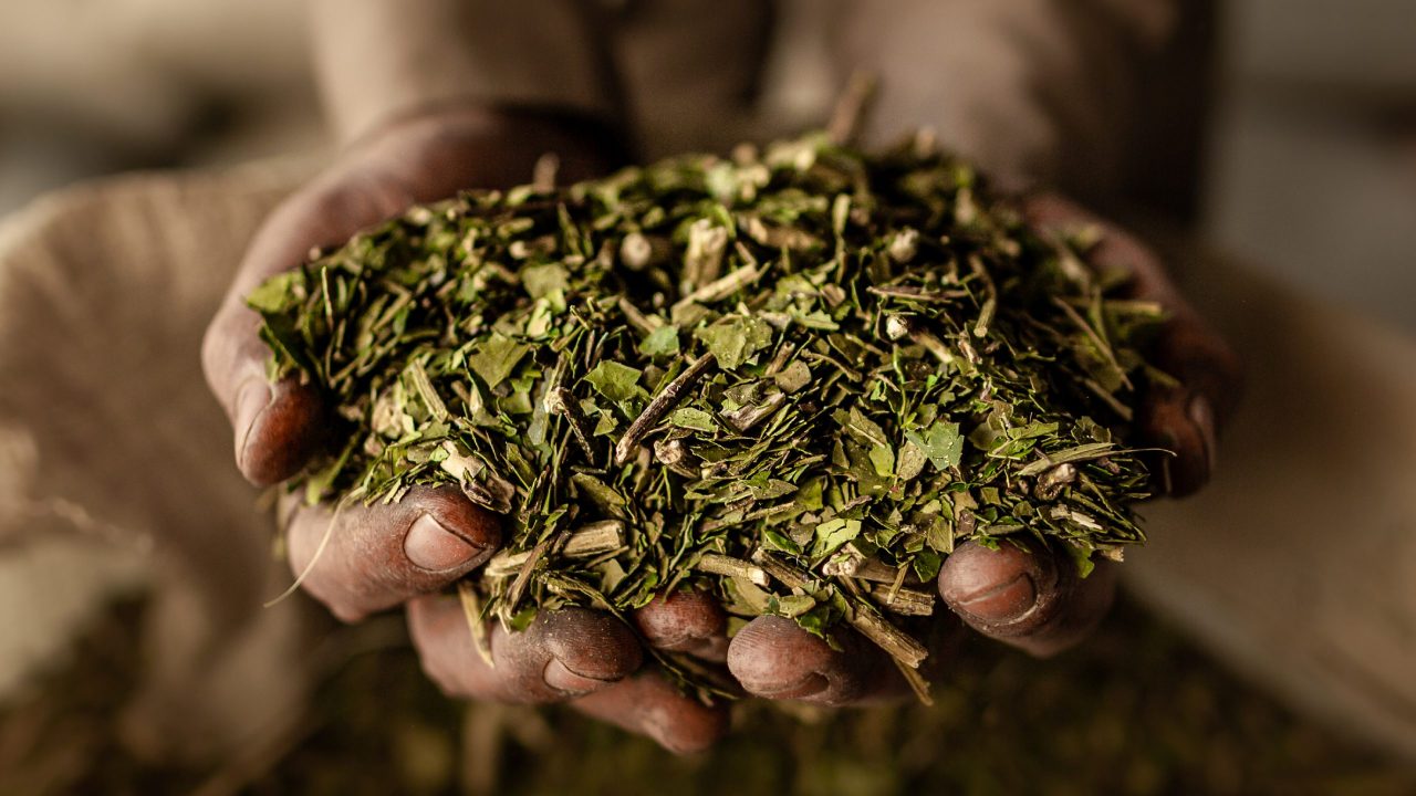 Productores afirman que financieramente están mucho peor que el año pasado