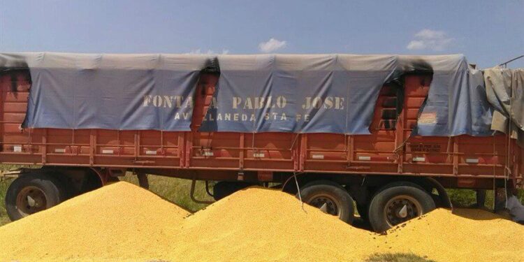 Los transportistas de carga solicitan una audiencia al Gobierno