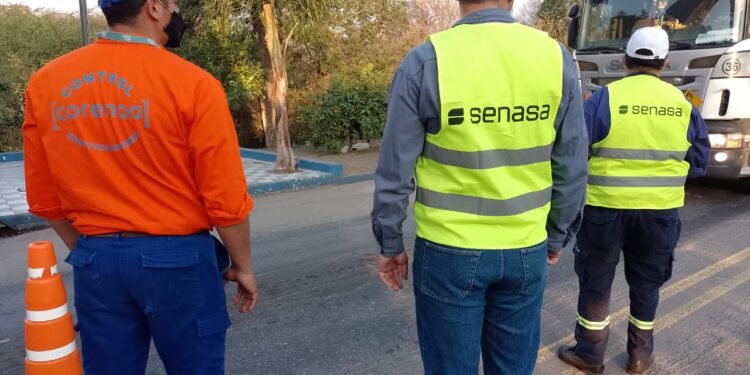 El Senasa evitó el comercio de quesos no aptos para el consumo