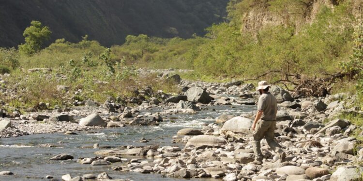 El impacto de los organismos para la determinación de la calidad del agua